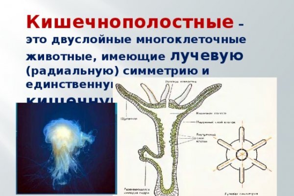 Рабочий сайт кракена