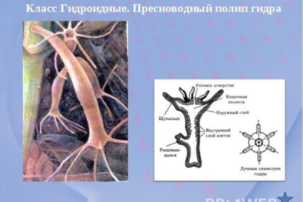 Кракен даркнет ссылка для тор