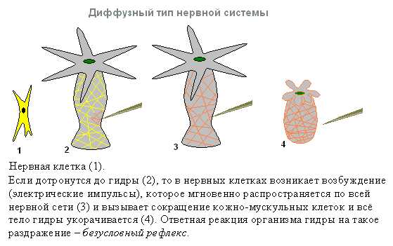 Зеркала крамп онион kraken6.at kraken7.at kraken8.at